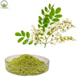 Mejores productos Sophora Japonica Extract Powder